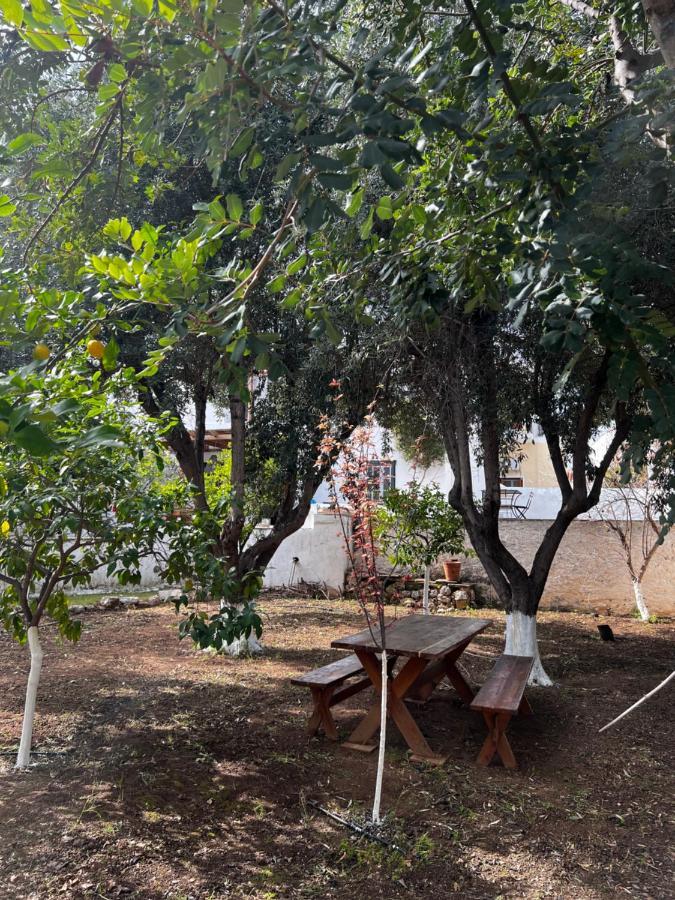 Two Olive Trees Guest House Spetses Town Luaran gambar