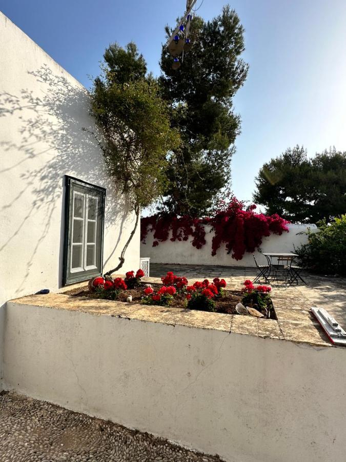 Two Olive Trees Guest House Spetses Town Luaran gambar