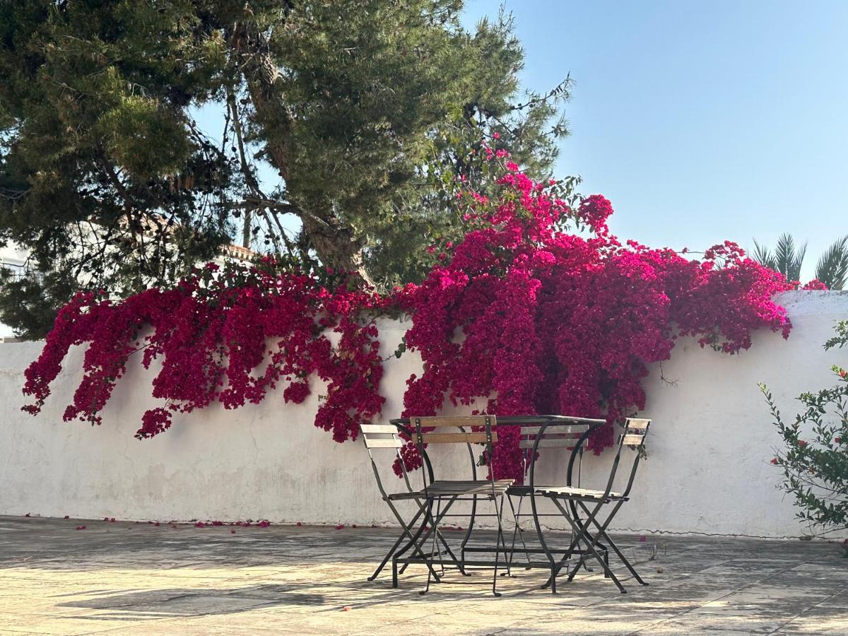 Two Olive Trees Guest House Spetses Town Luaran gambar